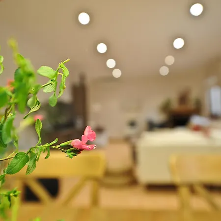 Torre Gil Casa rural *