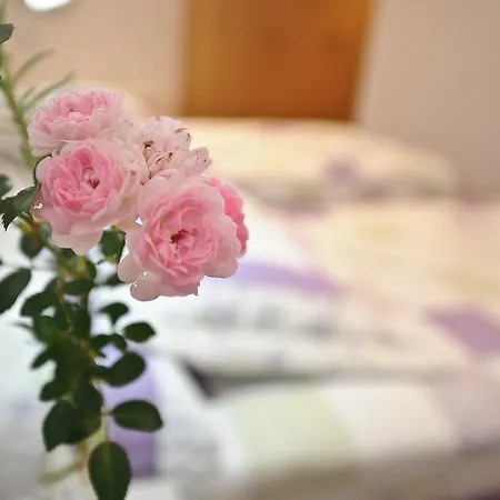 Εξοχικό σπίτι Torre Gil *